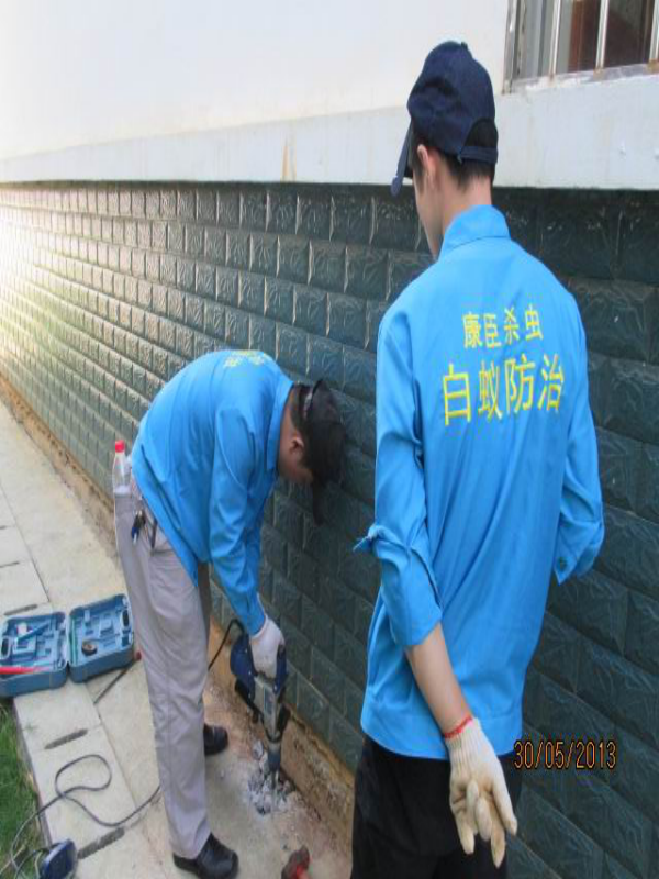 地基滅白蟻